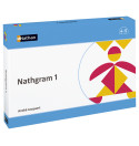 Atelier Nathgram 1