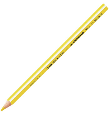 Crayon à papier ergonomique STABILO Easygraph HB droitier : Chez  Rentreediscount Fournitures scolaires